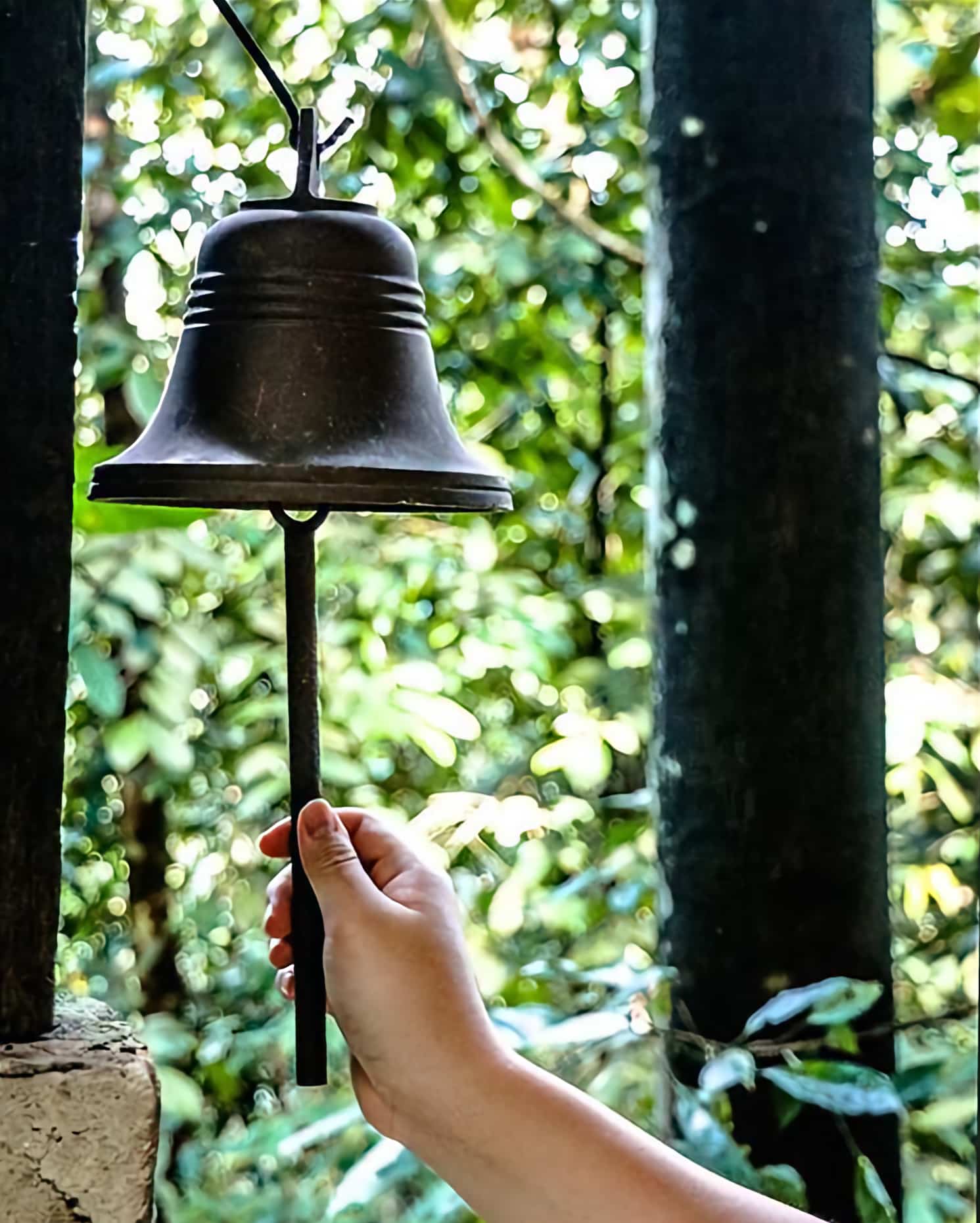Call Bell