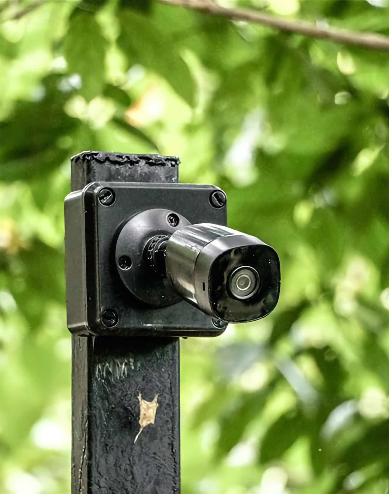 CCTV Surveillance