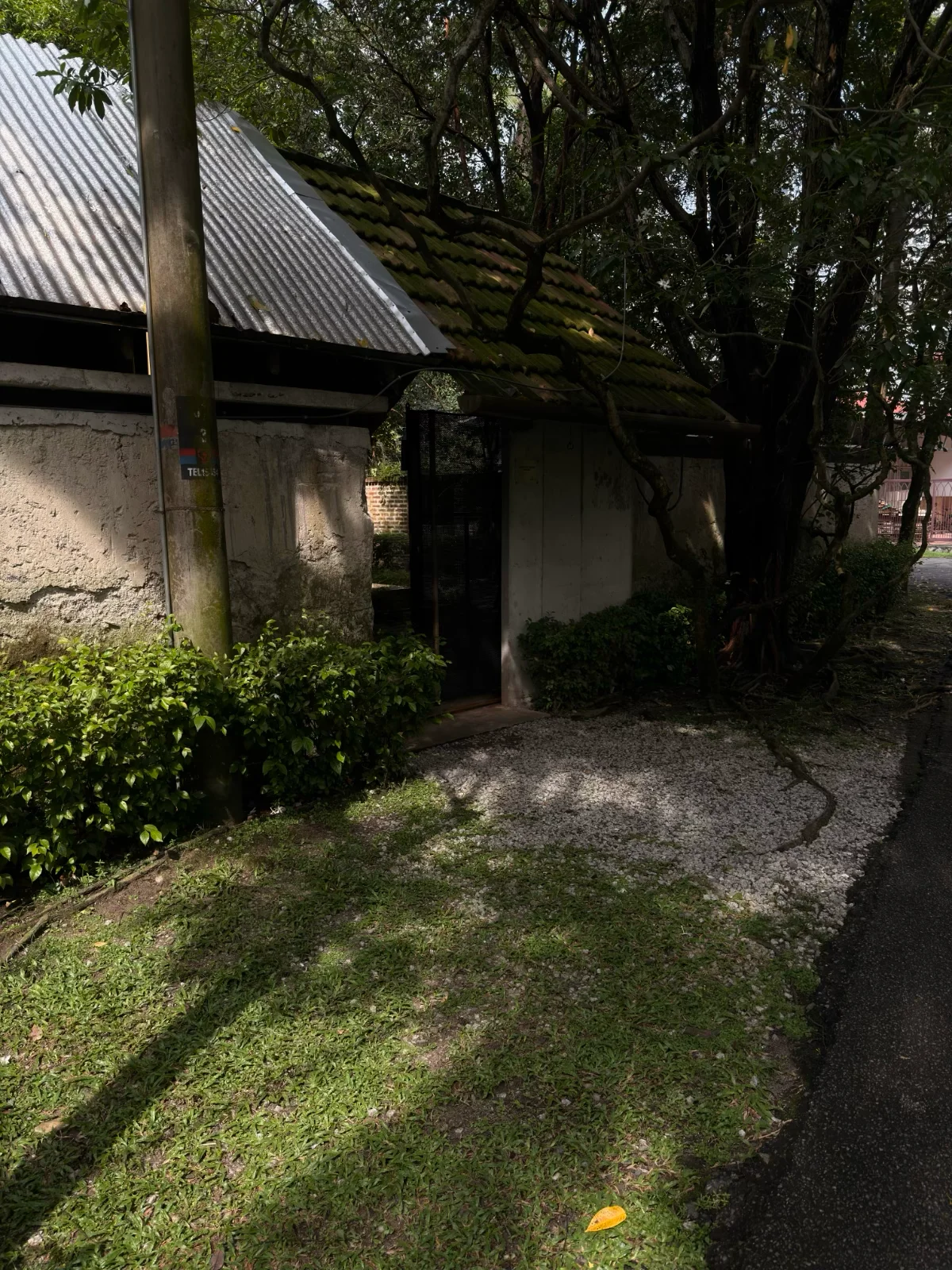 Entrance & Surroundings - photo 1