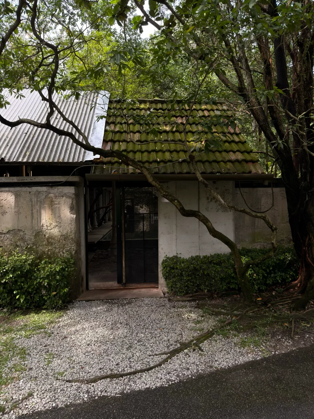 Entrance & Surroundings - photo 2