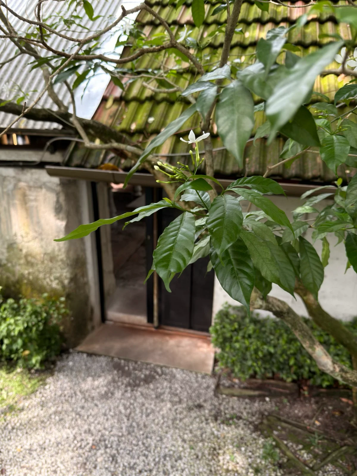 Entrance & Surroundings - photo 3