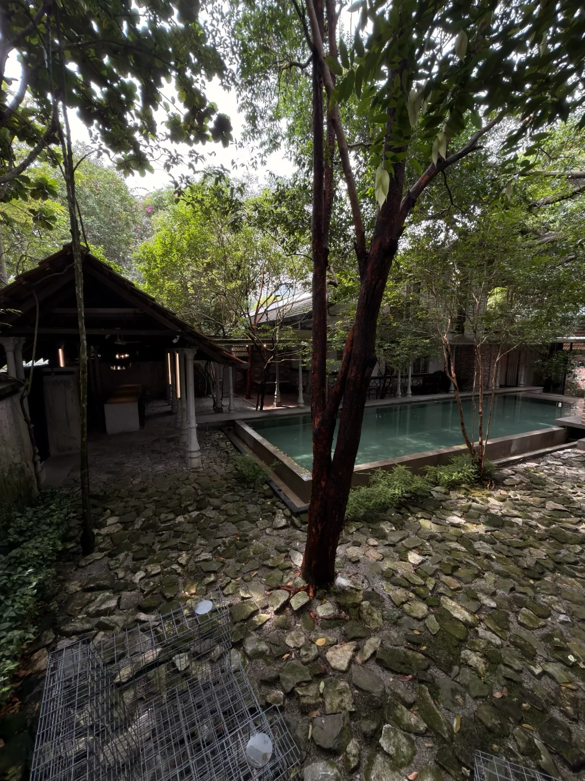 Entrance & Surroundings - photo 5