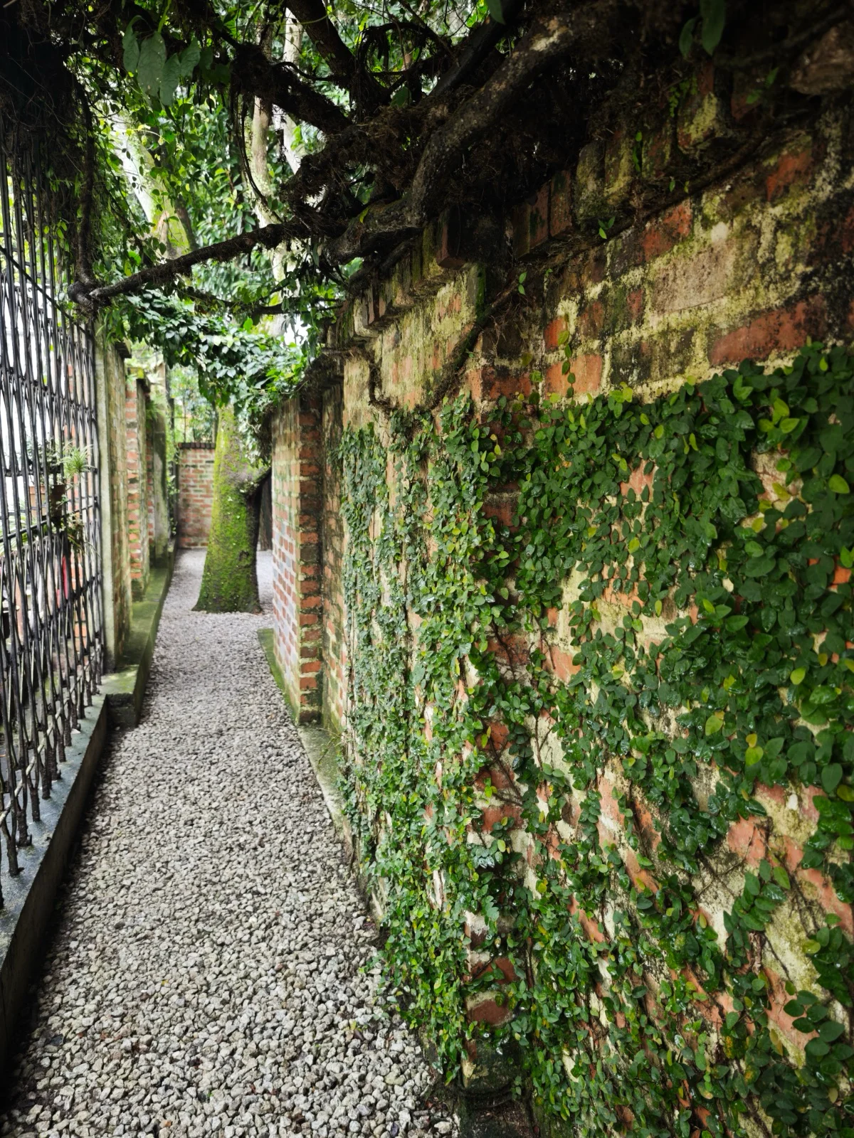 Entrance & Surroundings - photo 12