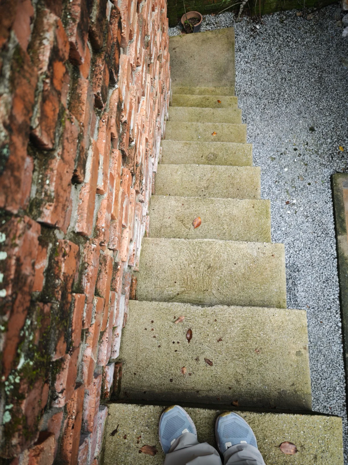 Entrance & Surroundings - photo 13