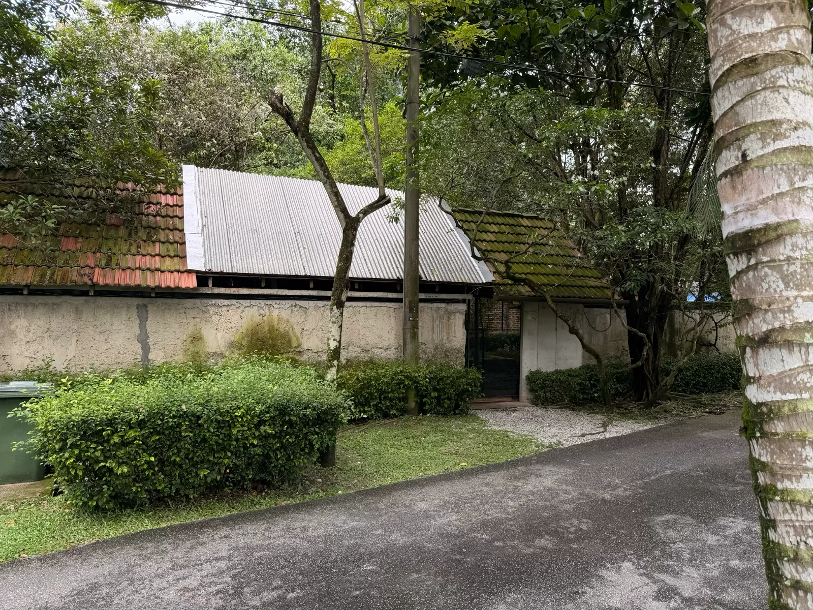 Entrance & Surroundings - photo 14