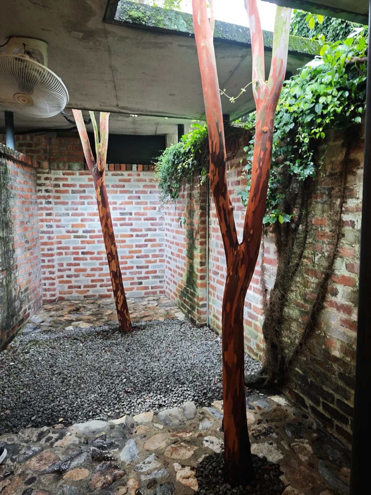Medium Courtyard Room - photo 2