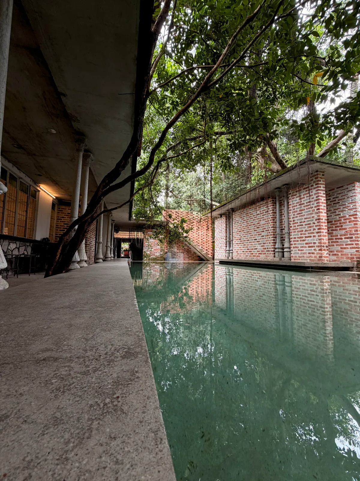 Swimming Pool - photo 4
