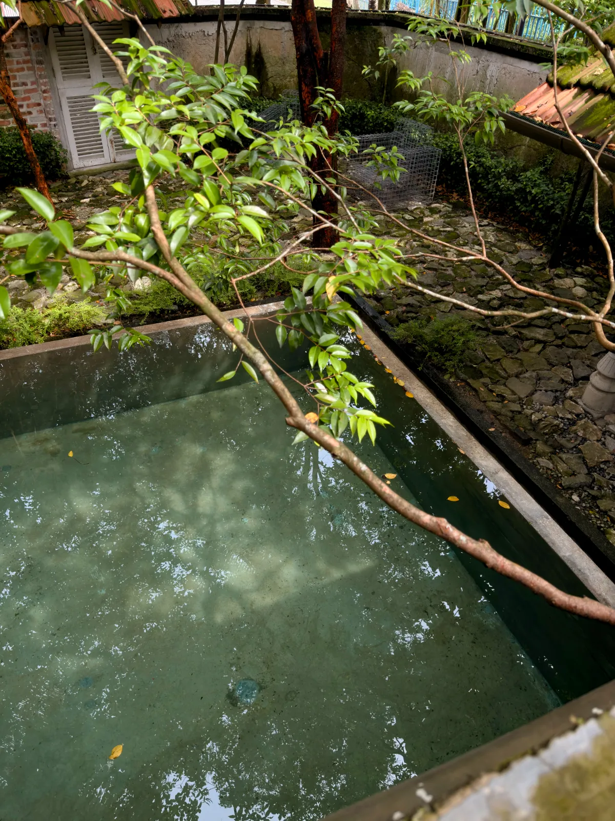 Swimming Pool - photo 5