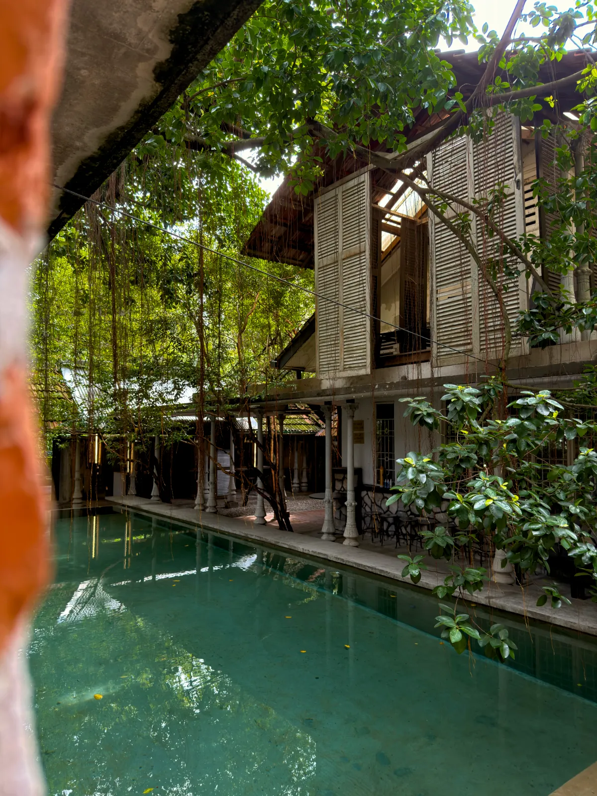 Swimming Pool - photo 6
