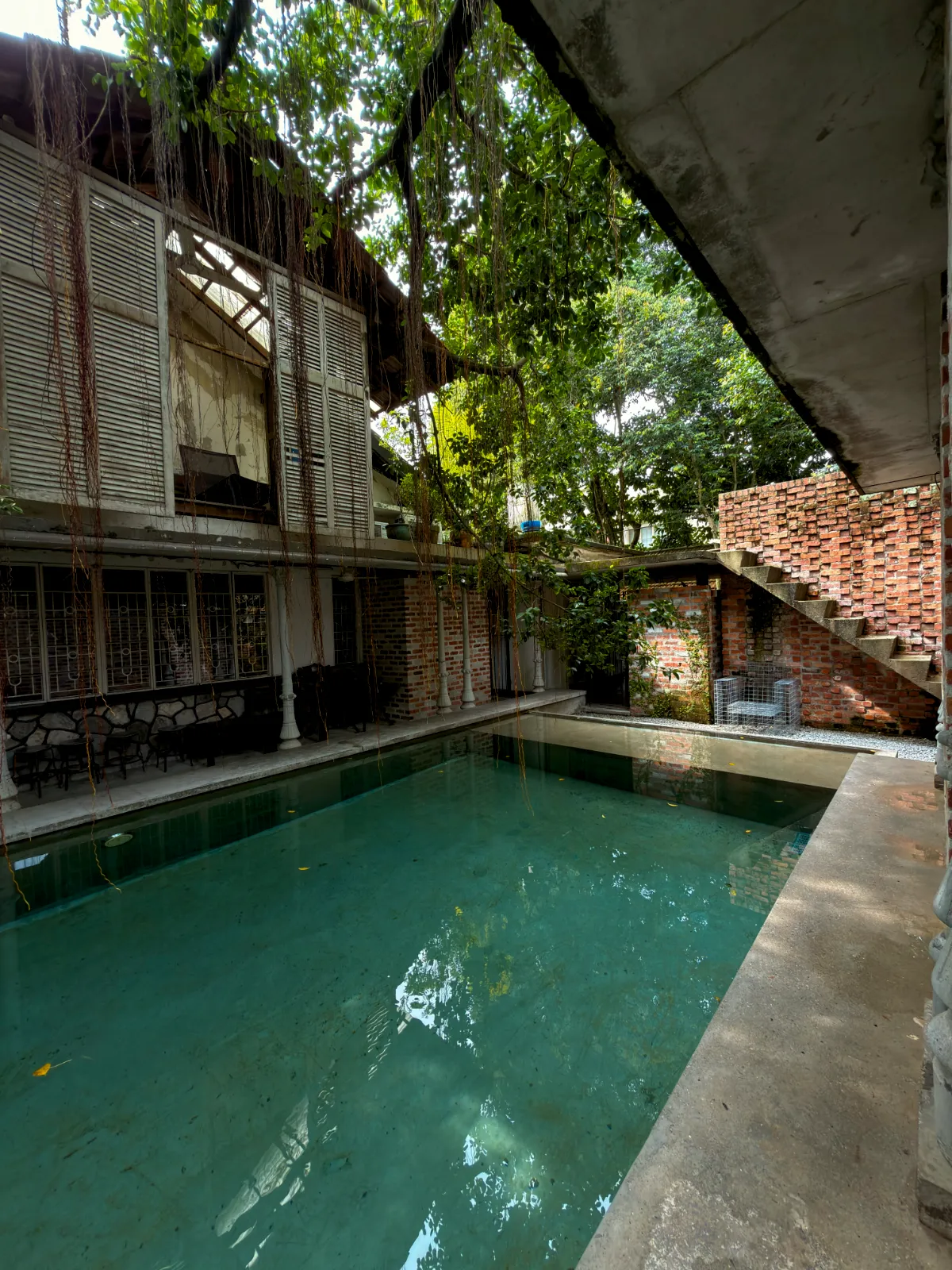 Swimming Pool - photo 8