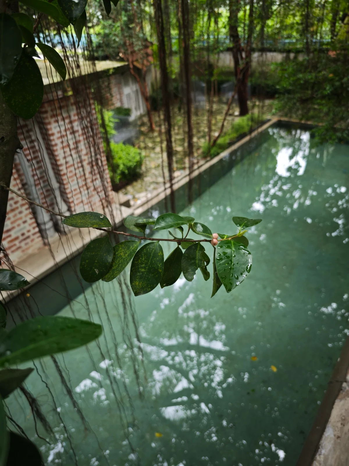 Swimming Pool - photo 10