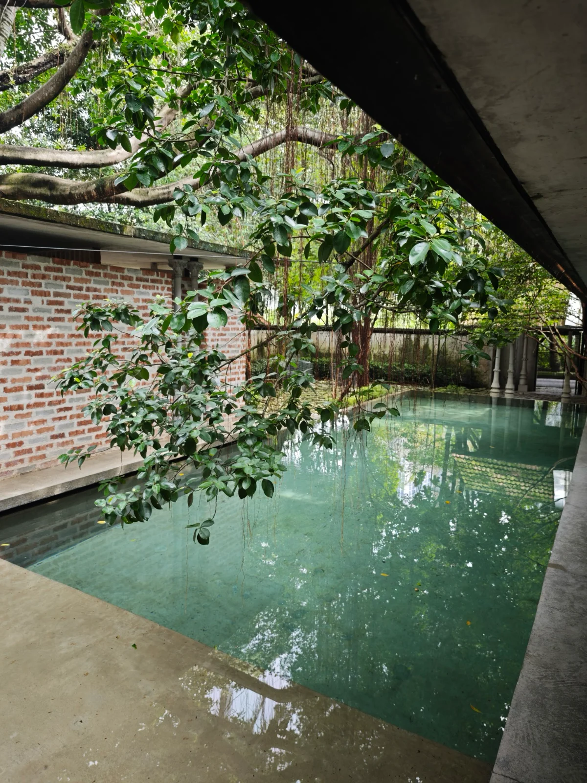 Swimming Pool - photo 11